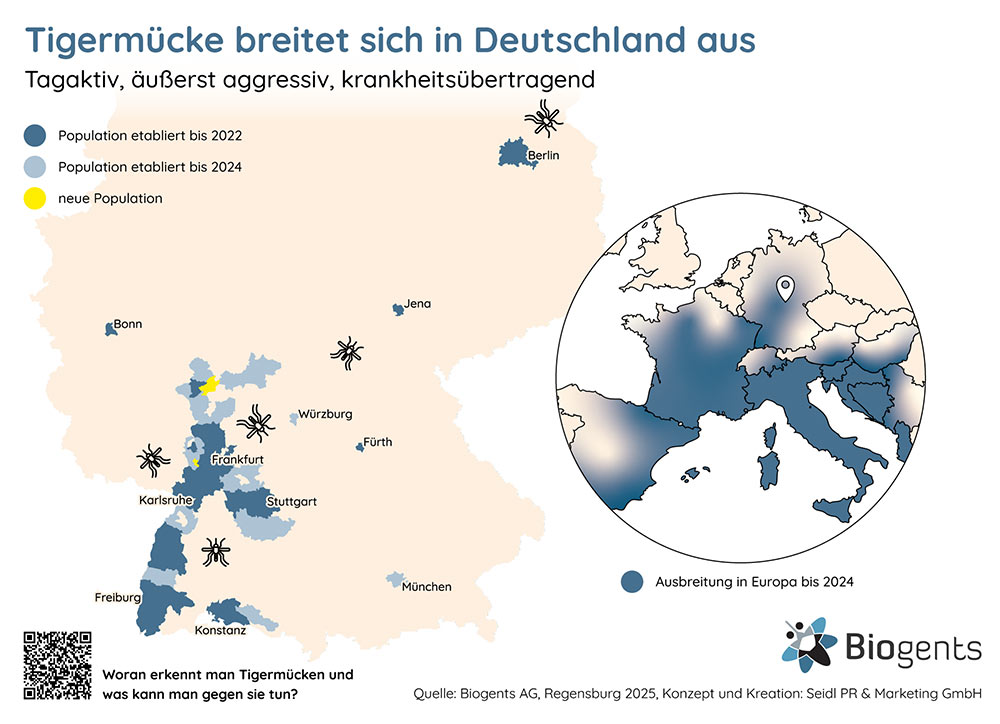 Die Tigermücke breitet sich in Deutschland aus.