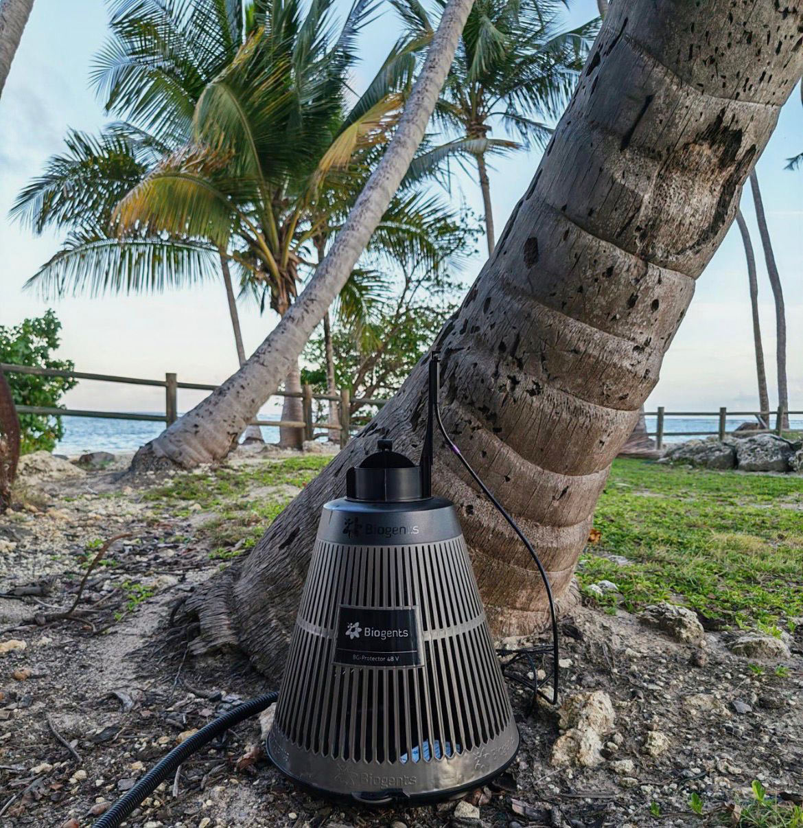 Biogents traps at Club Med La Caravelle