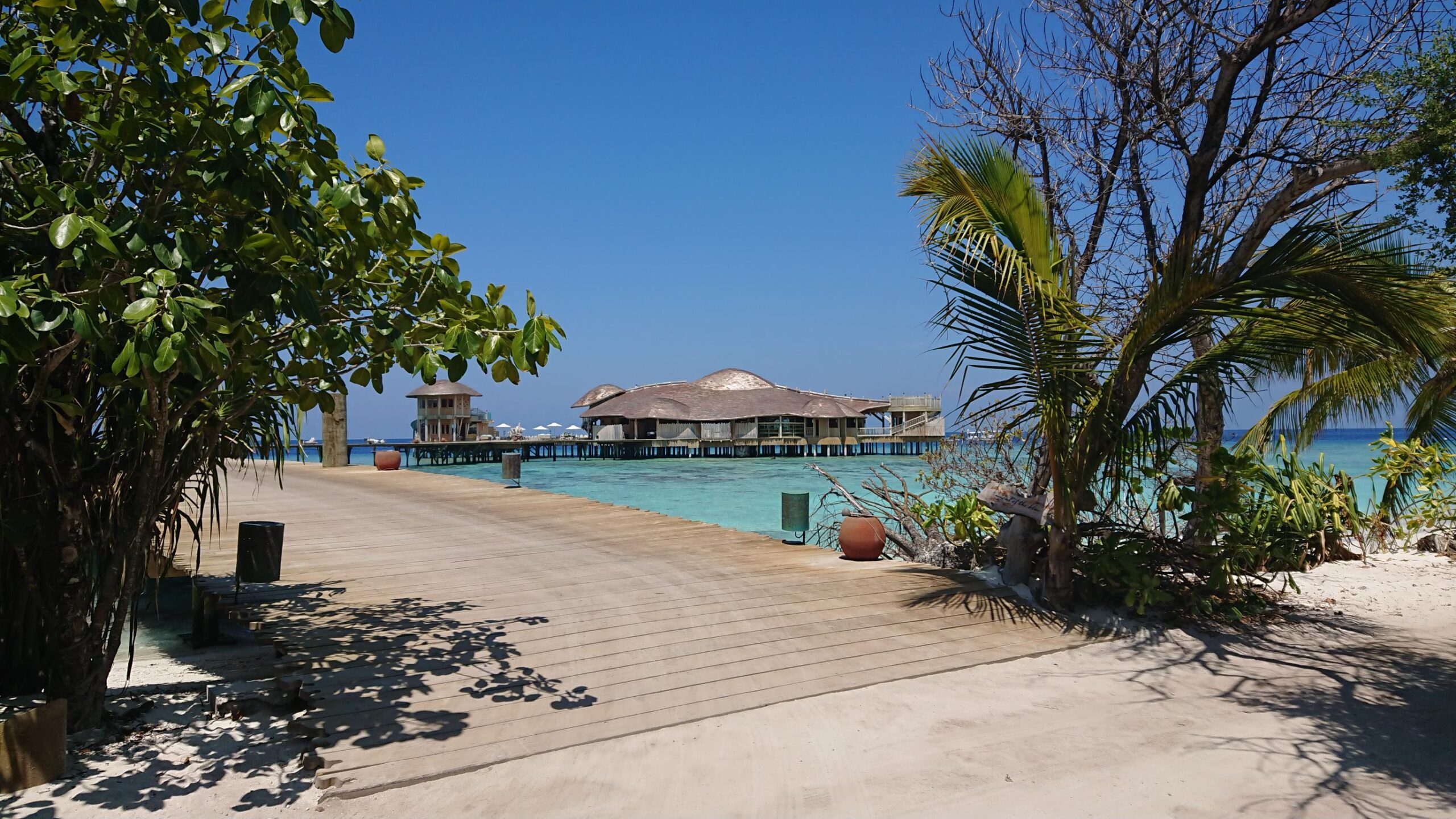 Biogenst traps are used on Soneva Island on Maldives