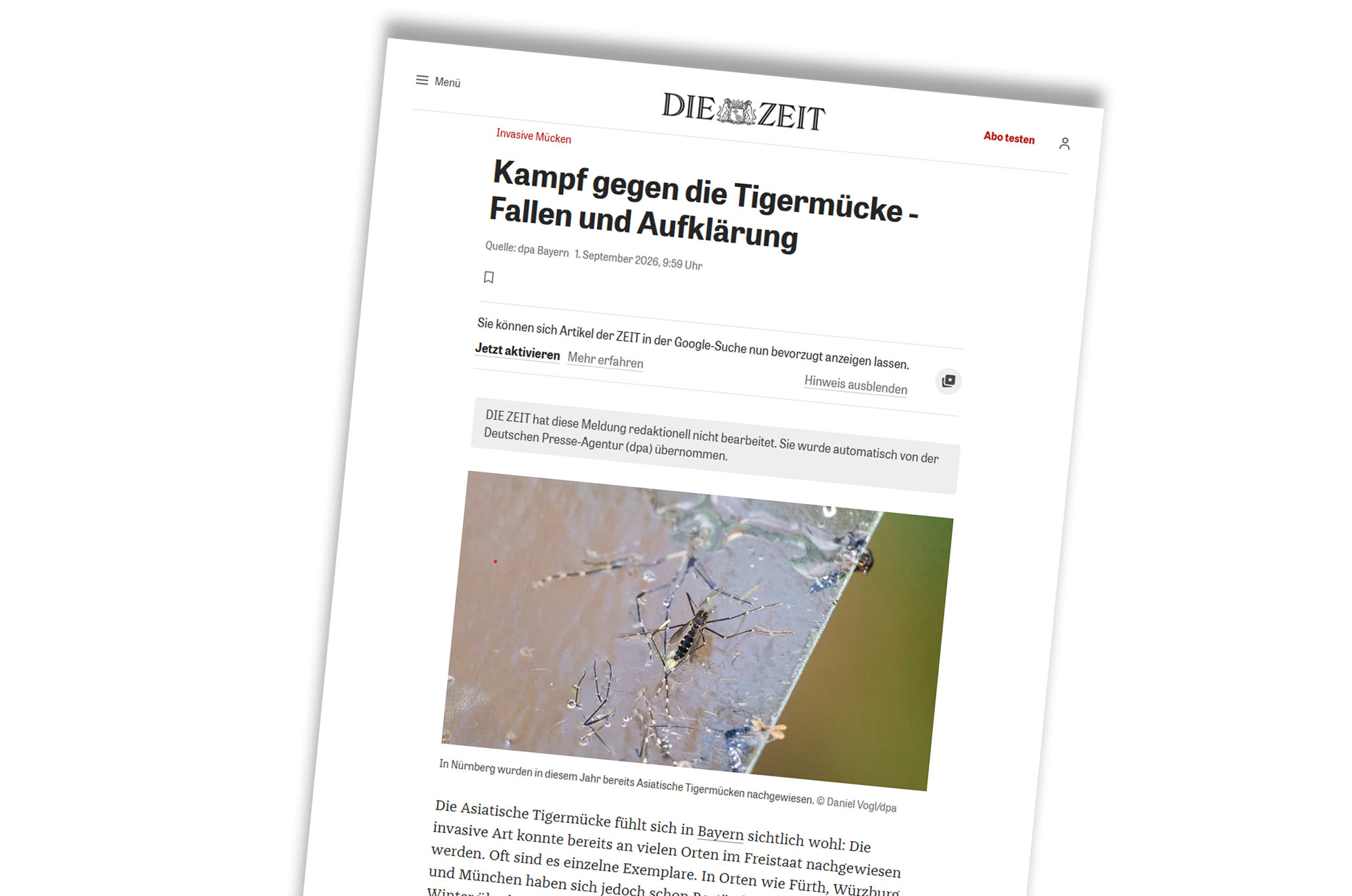 Template-Artikel-Die-Zeit-Mueckenmonitoring-Image Mückenmonitoring wird immer wichtiger bei der Überwachung von Tigermücken