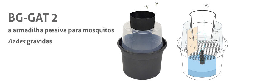 A armadilha passiva para mosquitos Aedes gravídas